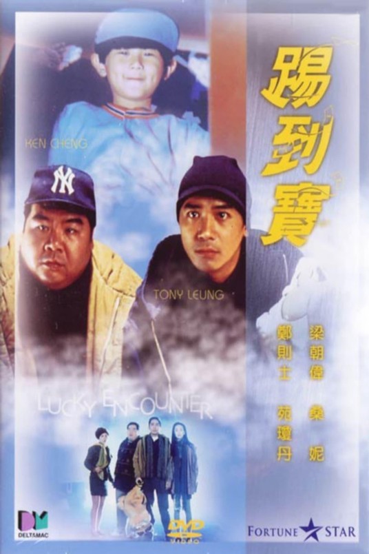 踢到宝(香港1992年杜琪峰执导电影)