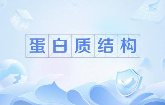 蛋白质结构