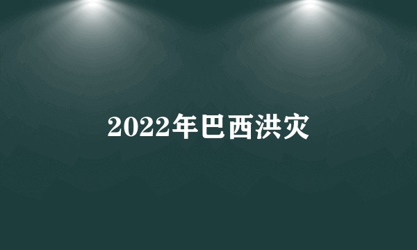 2022年巴西洪灾