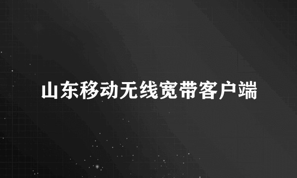山东移动无线宽带客户端