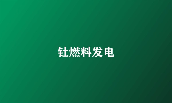 钍燃料发电