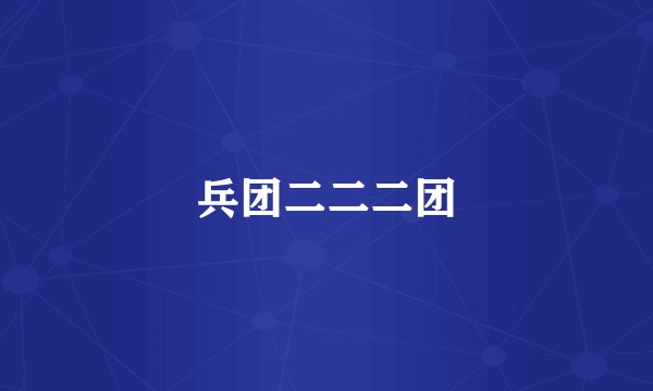 兵团二二二团