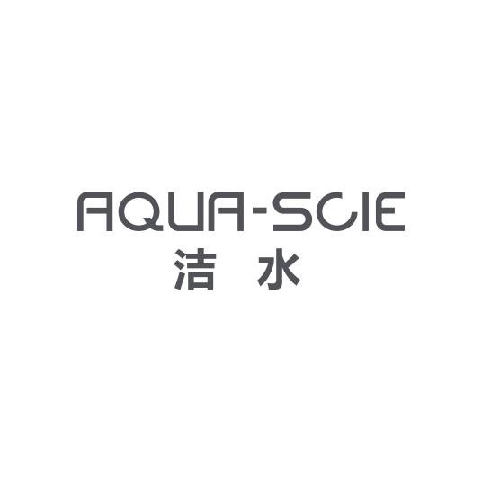 洁水（网站）