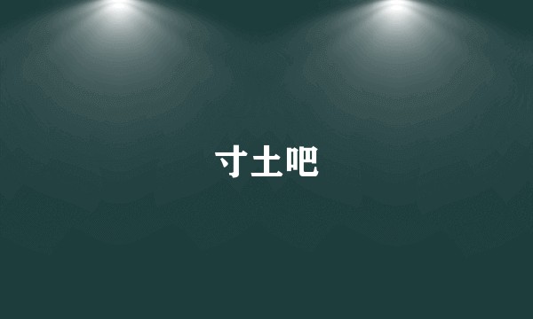 寸土吧