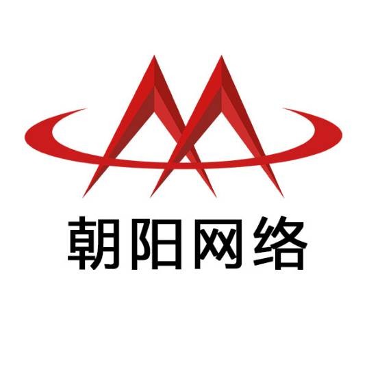 东莞市朝阳信息网络有限公司