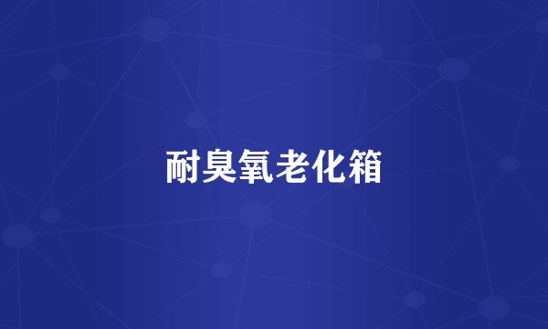 耐臭氧老化箱