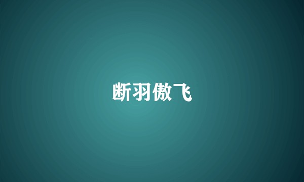 断羽傲飞