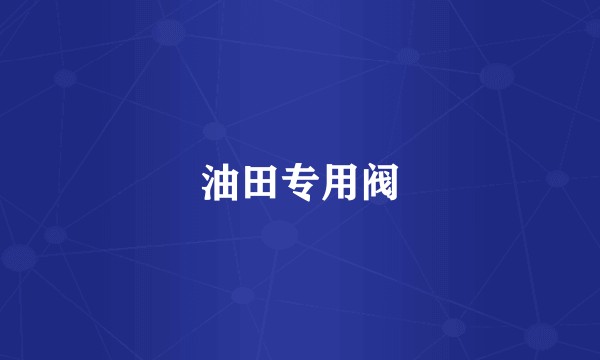油田专用阀