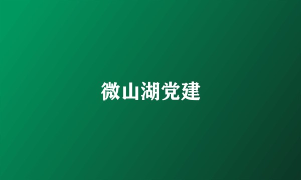 微山湖党建