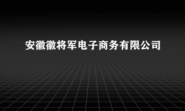 安徽徽将军电子商务有限公司
