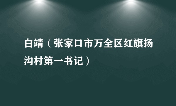 白靖（张家口市万全区红旗扬沟村第一书记）