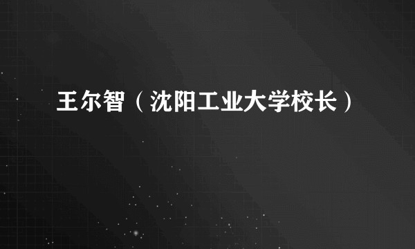 王尔智（沈阳工业大学校长）