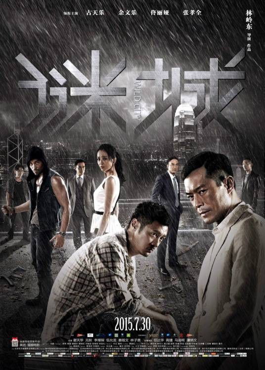 谜城（2015年古天乐主演的动作电影）