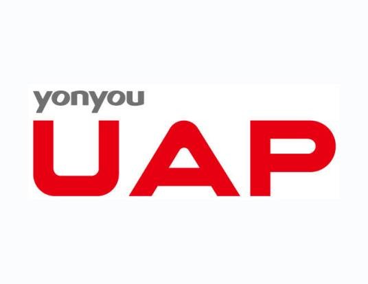 UAP（大中型企业与公共组织的统一应用平台）