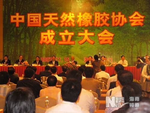 中国天然橡胶协会