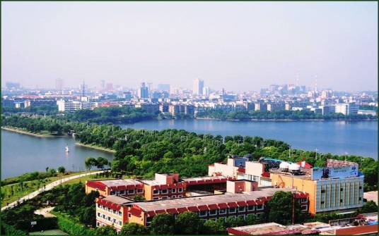 大观区