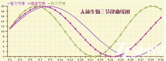 生物三节律