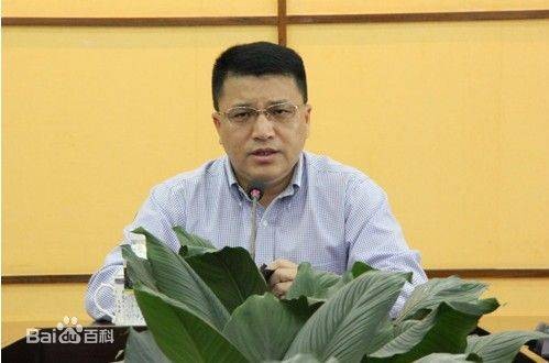 江伟（海南省公安厅原巡视员）