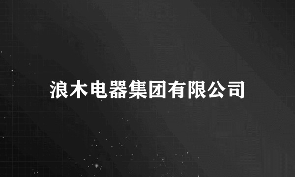 浪木电器集团有限公司