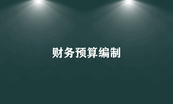 财务预算编制