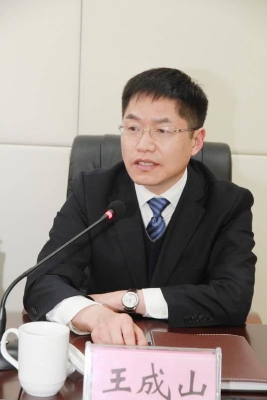 王成山（安徽省滁州市政协副主席）