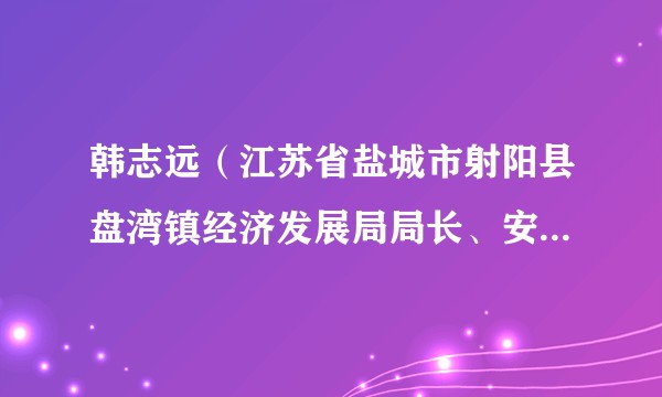 韩志远（江苏省盐城市射阳县盘湾镇经济发展局局长、安石村党总支书记）