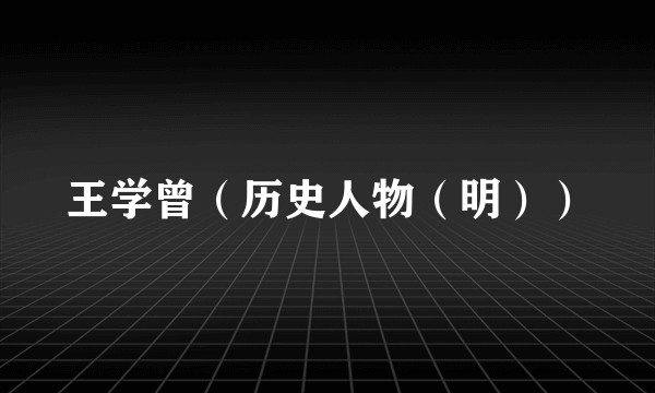 王学曾（历史人物（明））