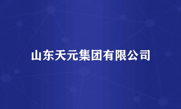 山东天元集团有限公司