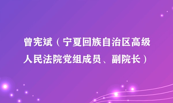 曾宪斌（宁夏回族自治区高级人民法院党组成员、副院长）