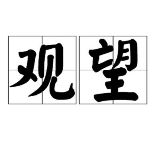 观望（中文词语）