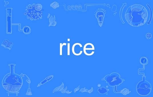 rice（英语单词）