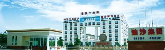 迪沙药业集团