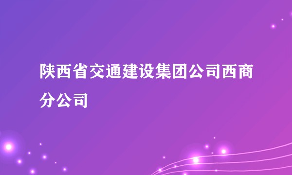 陕西省交通建设集团公司西商分公司