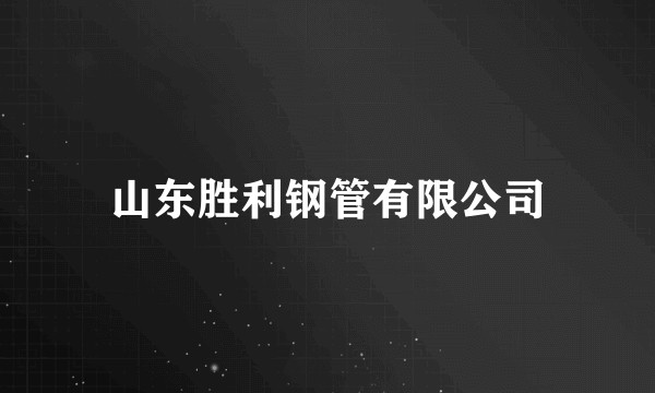 山东胜利钢管有限公司
