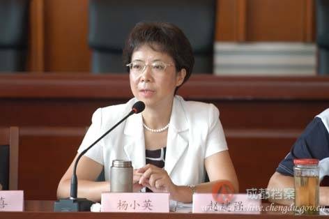 杨小英（商洛学院教师）