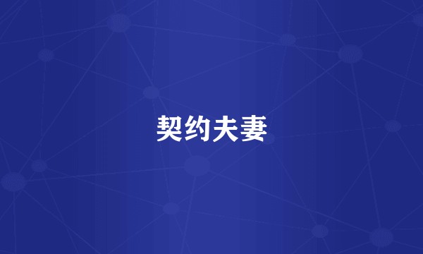 契约夫妻