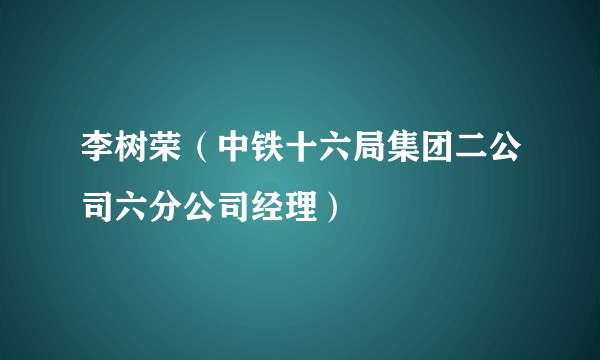 李树荣（中铁十六局集团二公司六分公司经理）