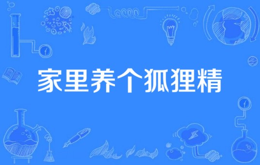 家里养个狐狸精（2016年新圣堂影业出品的电视剧）