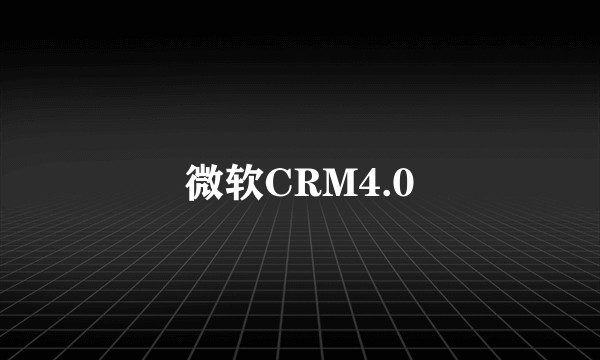 微软CRM4.0