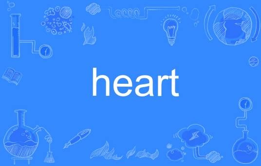 Heart（英语单词）