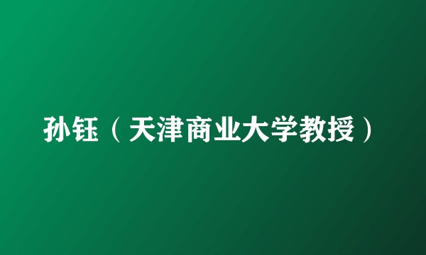 孙钰（天津商业大学教授）