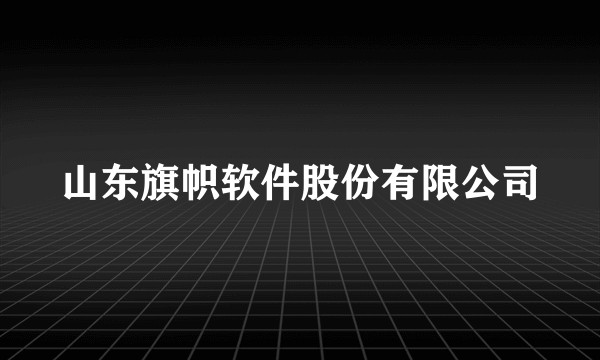 山东旗帜软件股份有限公司