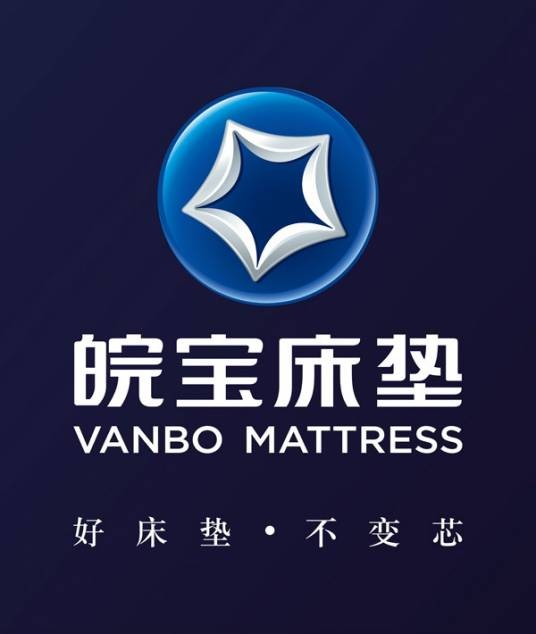 合肥皖宝集团