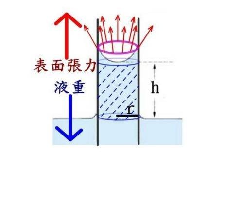 毛细力