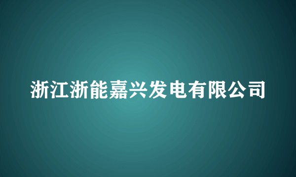 浙江浙能嘉兴发电有限公司