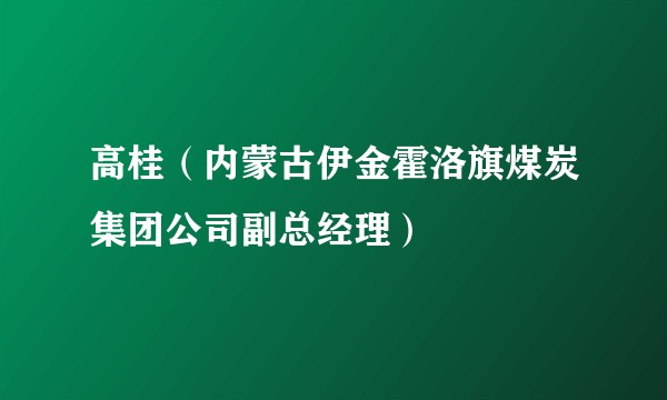 高桂（内蒙古伊金霍洛旗煤炭集团公司副总经理）