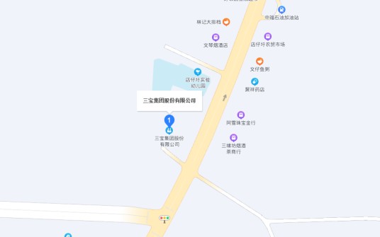三宝集团股份有限公司