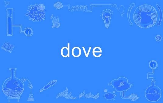 dove（英文单词）