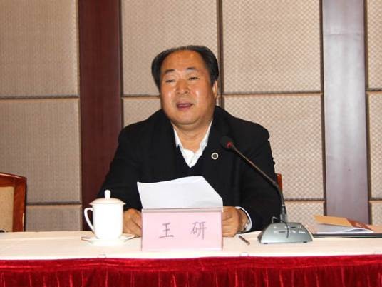 王研(中国地质调查局原副局长)