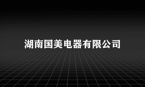 湖南国美电器有限公司